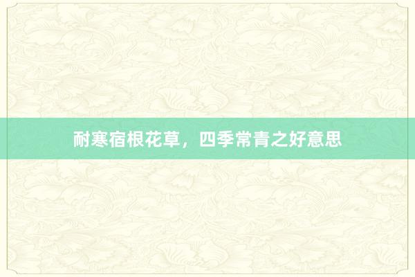 耐寒宿根花草，四季常青之好意思