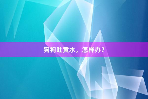 狗狗吐黄水，怎样办？